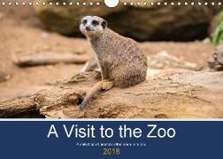 A Visit to the Zoo (Wall Calendar 2018 DIN A4 Landscape)