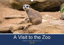 A Visit to the Zoo (Wall Calendar 2018 DIN A3 Landscape)