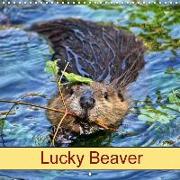 Lucky Beaver (Wall Calendar 2018 300 × 300 mm Square)