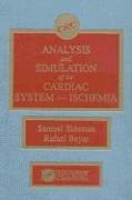 Analysis and Simulation of the Cardiac System Ischemia