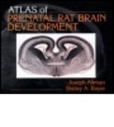 Atlas of Prenatal Rat Brain Development