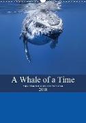 A Whale Of A Time (Wall Calendar 2018 DIN A3 Portrait)