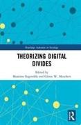 Theorizing Digital Divides