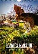 Beagles in action (Wall Calendar 2018 DIN A4 Portrait)