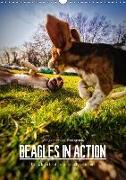 Beagles in action (Wall Calendar 2018 DIN A3 Portrait)