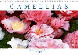 Camellias (Wall Calendar 2018 DIN A3 Landscape)