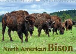 North American Bison (Wall Calendar 2018 DIN A3 Landscape)