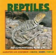 Reptiles: Explore the Fascinating Worlds Of...Alligators and Crocodiles, Lizards, Snakes, Turtles