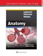 Lippincott (R) Illustrated Reviews: Anatomy