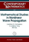 Mathematical Studies in Nonlinear Wave Propagation