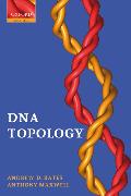 DNA Topology