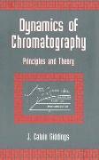 Dynamics of Chromatography