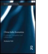 China-India Economics