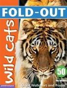 Fold-Out Poster Sticker Book: Wild Cats