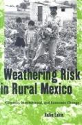 Weathering Risk in Rural Mexico