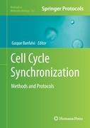 Cell Cycle Synchronization