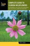 Complete Guide to Florida Wildflowers