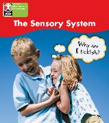 PYP L4 Sensory System 6PK