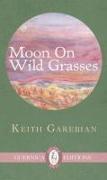 Moon on Wild Grasses