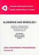 Algebras and Modules, Volume 1