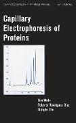 Capillary Electrophoresis of Proteins