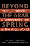 Beyond the Arab Spring