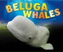 Beluga Whales