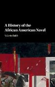 A history if the African American novel