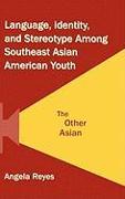 Language, Identity, and Stereotype Among Southeast Asian American Youth