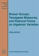 Brauer Groups, Tamagawa Measures, and Rational Points on Algebraic Varieties