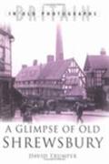 Glimpse of Old Shrewsbury
