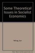 Some Theoretical Issues in Socialist Economics