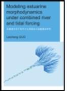 Modeling Estuarine Morphodynamics under Combined River and Tidal Forcing