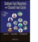 Sodium Fast Reactors with Closed Fuel Cycle