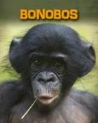 Bonobos