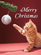 Christmas Kitty Boxed Holiday Full Notecards