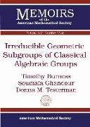 Irreducible Geometric Subgroups of Classical Algebraic Groups