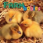 Farm Babies