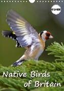 Native Birds of Britain (Wall Calendar 2018 DIN A4 Portrait)