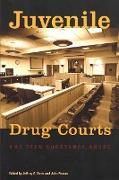 Juvenile Drug Courts and Teen Substance Abuse