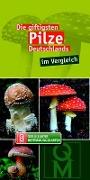 Die giftigsten Pilze Deutschlands im Vergleich
