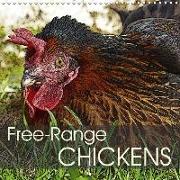 Free-Range Chickens (Wall Calendar 2018 300 × 300 mm Square)