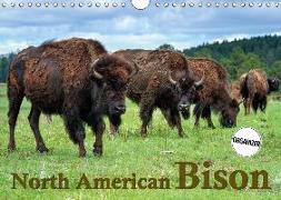 North American Bison (Wall Calendar 2018 DIN A4 Landscape)