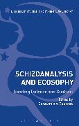 Schizoanalysis and Ecosophy