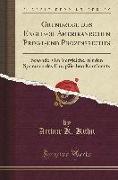 Grundzüge Des Englisch-Amerikanischen Privat-Und Prozessrechts: Besonders Im Vergleiche Mit Den Systemen Des Europäischen Kontinents (Classic Reprint)