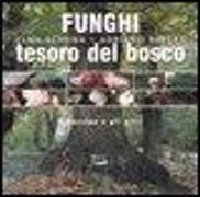 Funghi, tesoro del bosco. Il porcino e gli altri