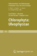 Freshwater Flora of Central Europe, Vol 13: Chlorophyta: Ulvophyceae (Süßwasserflora von Mitteleuropa, Bd. 13: Chlorophyta: Ulvophyceae)