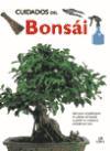 Cuidados del bonsai