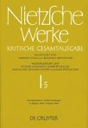 Nachgelassene Aufzeichnungen. Frühjahr 1868 - Herbst 1869