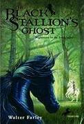 The Black Stallion's Ghost